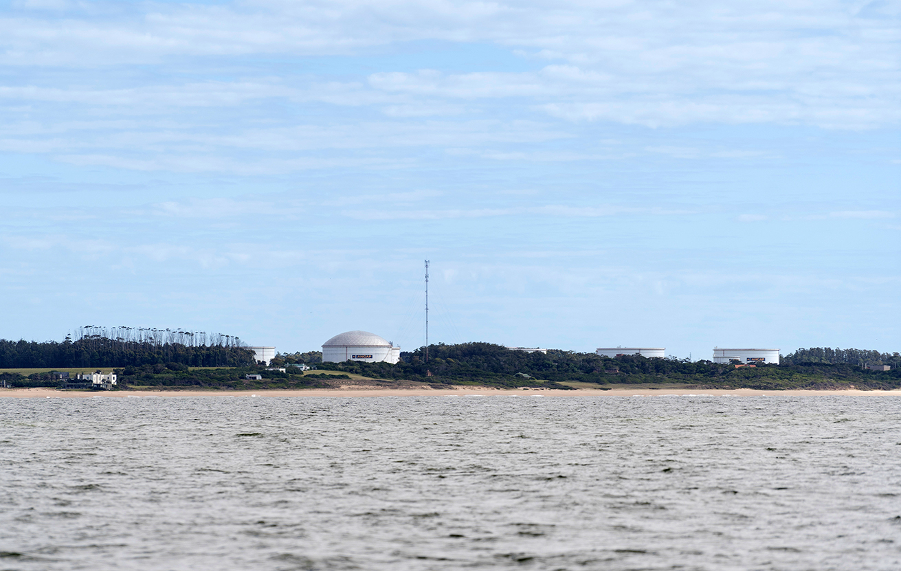 Viridien informa que no hubo muertes de ballenas asociadas a operaciones sísmicas